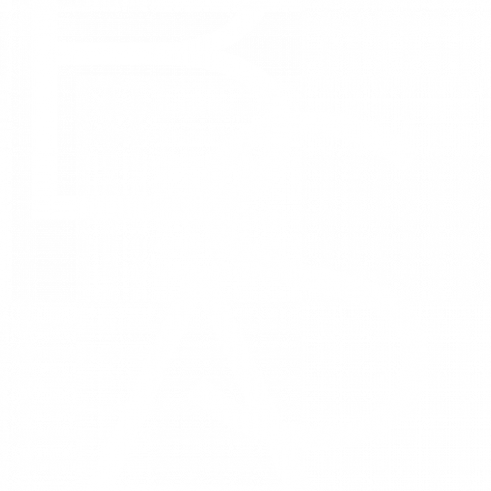BSA Reg. logo_White